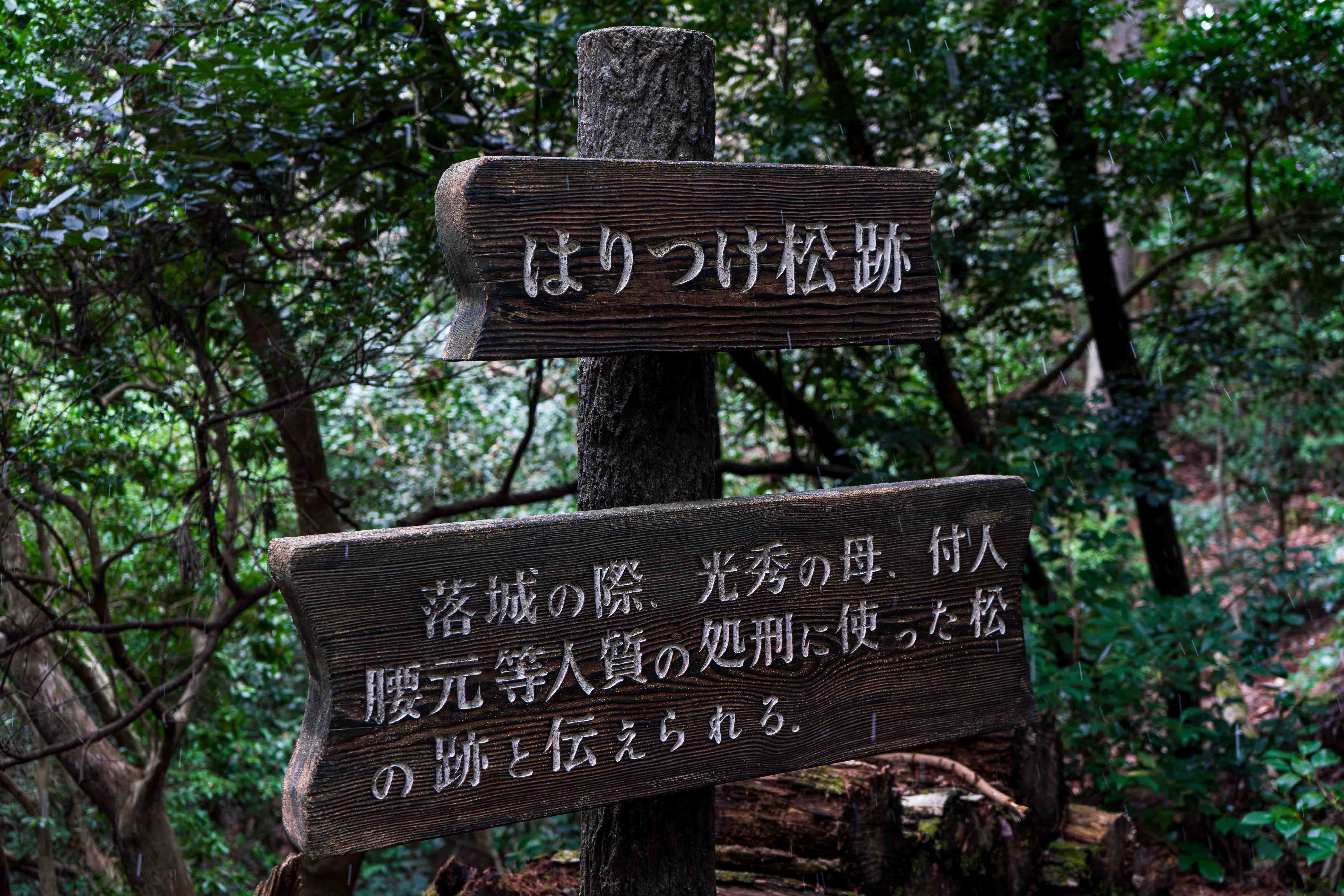 はりつけ松跡 – 創作の悲話が伝承する跡地と地域振興