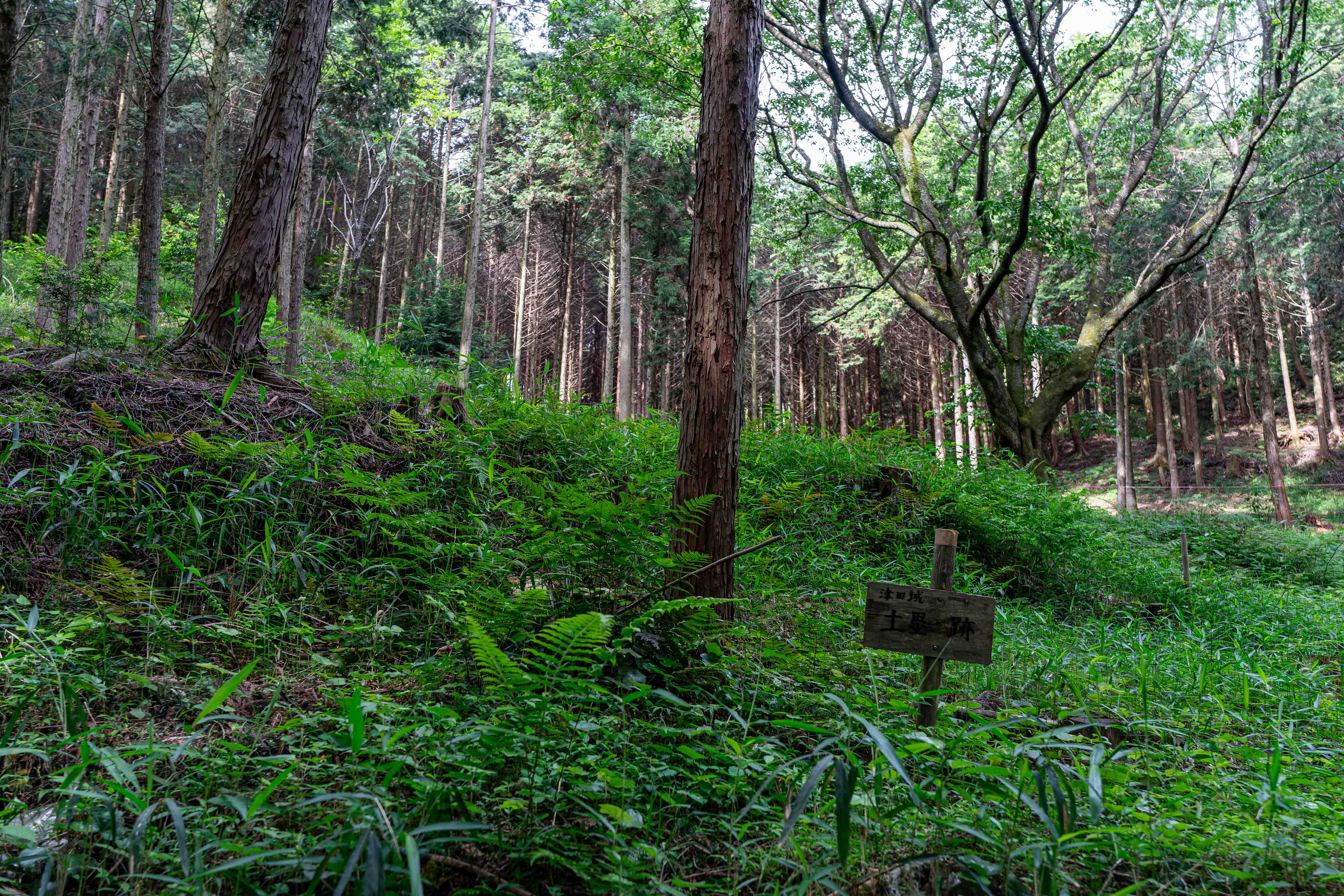 津田城跡 – 利権争いが生んだ空想の郷土史