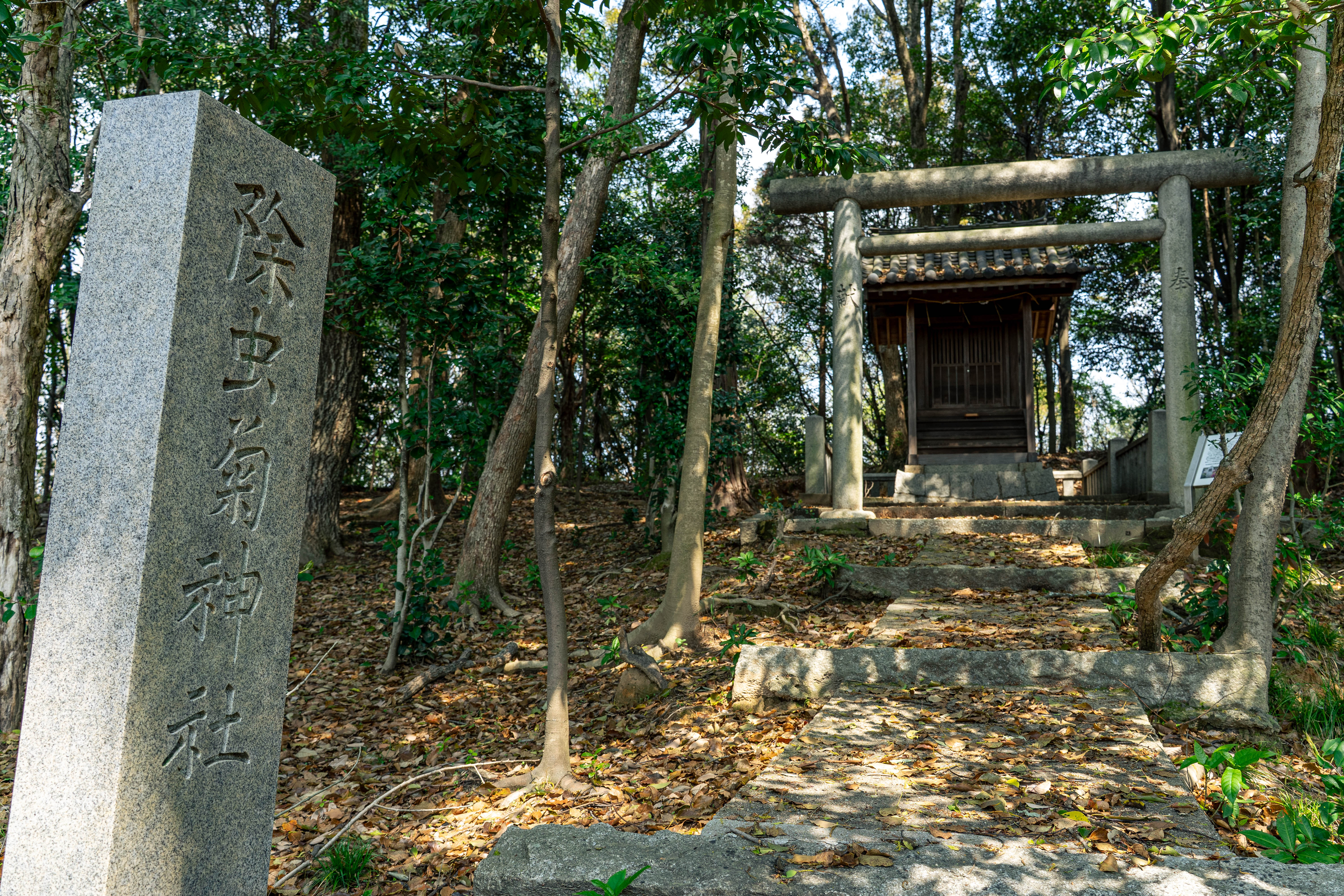 除虫菊神社 – 生きて神となった害虫駆除産業の功労者