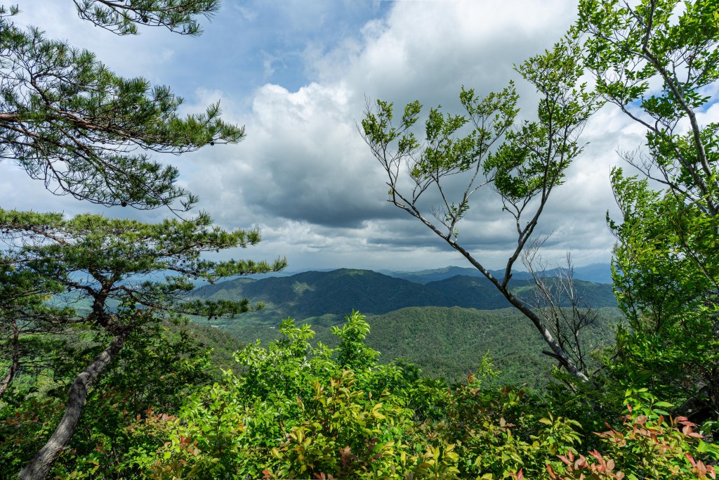 葦嶽山